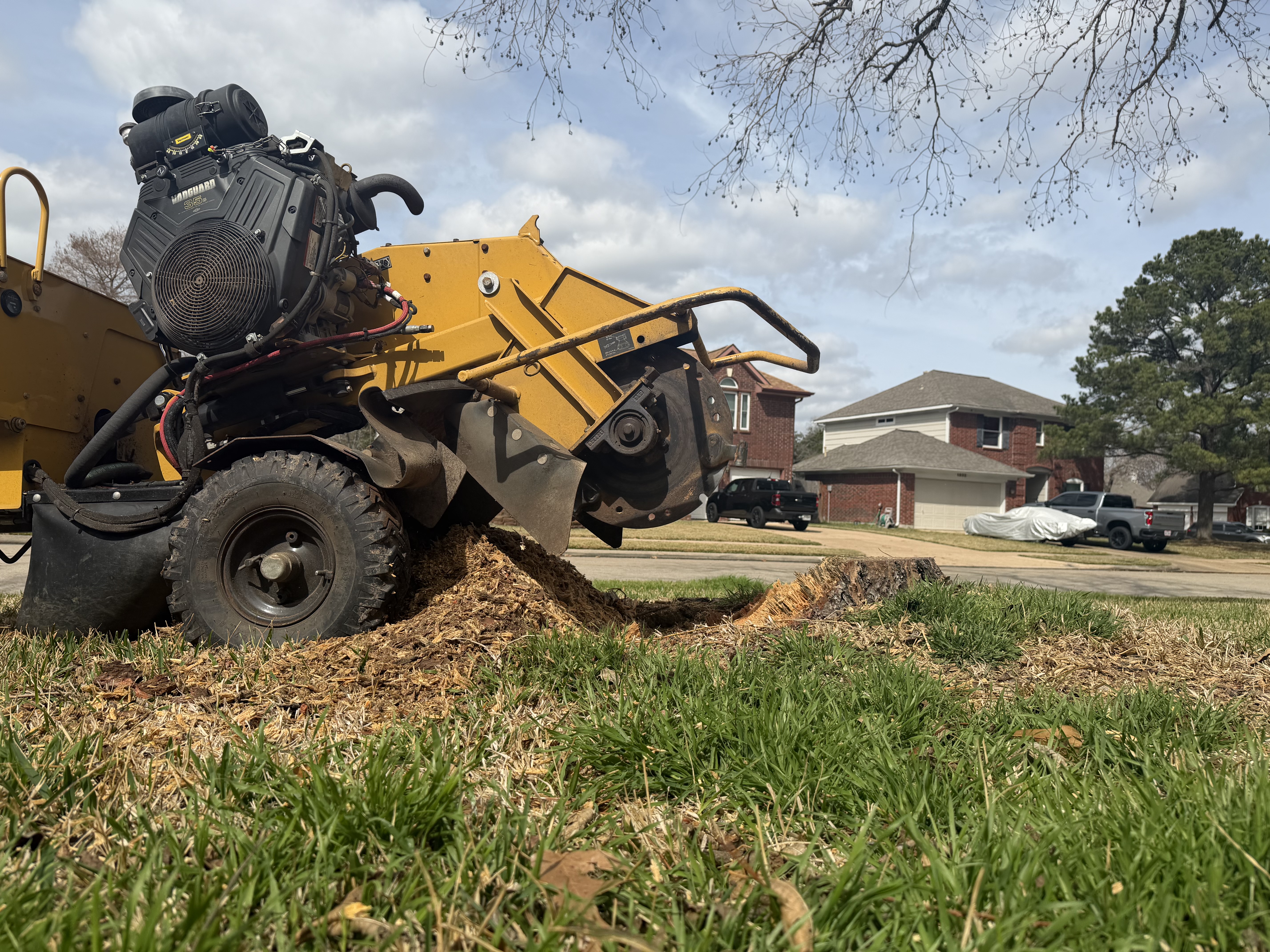 Stump Grinding