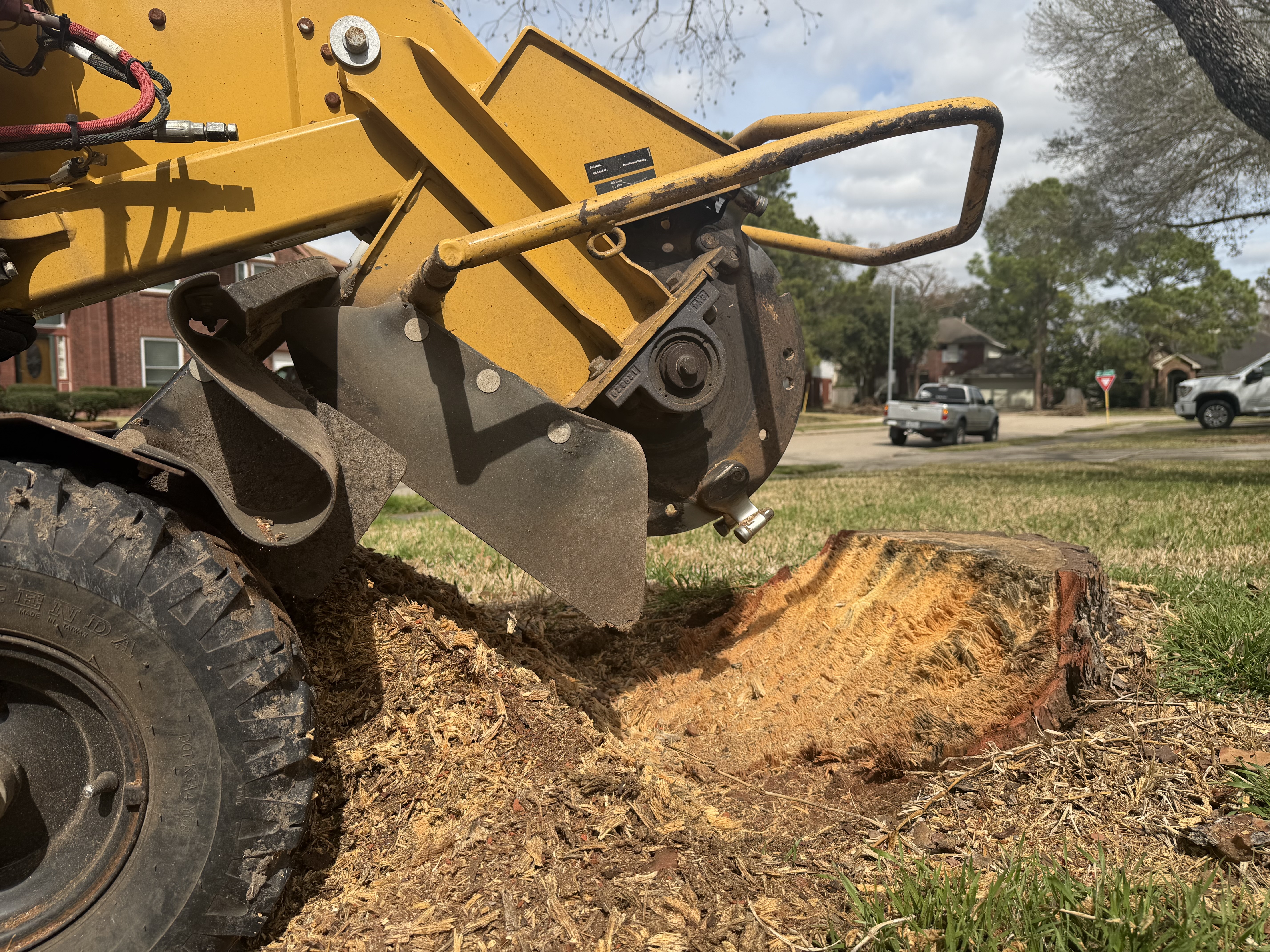 Stump Grinding